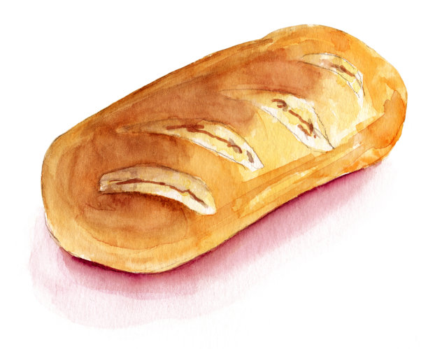 素色发髻，白色背景，水彩画图片下载