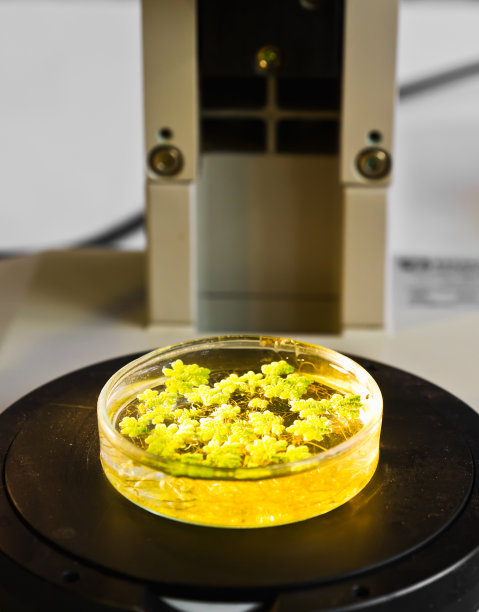 实验室小型测试塔盘图片下载