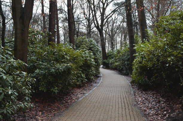 在公园路图片下载