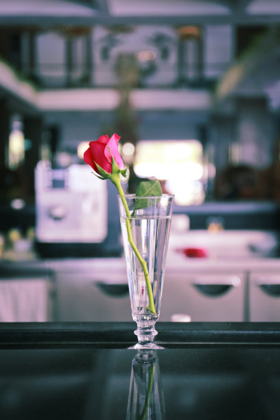 花瓶中的红玫瑰图片下载