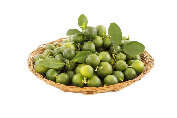 四季橘图片下载