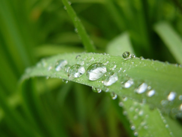 waterdrops图片下载