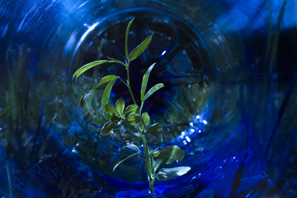 废物管理环境图片下载