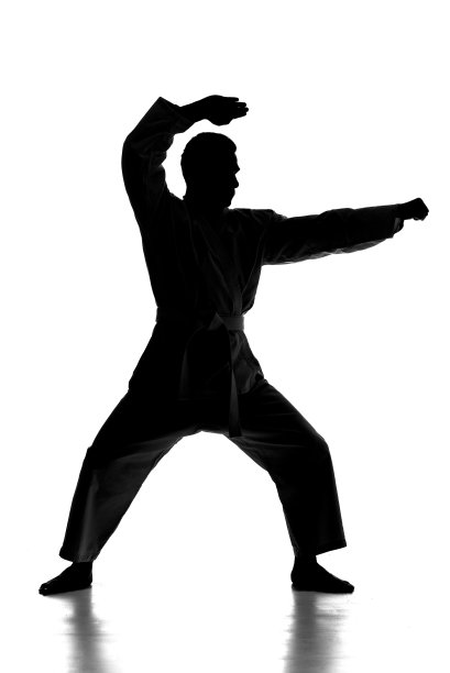 武术图片下载