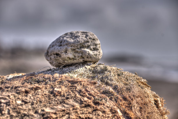 石头在岩石图片下载