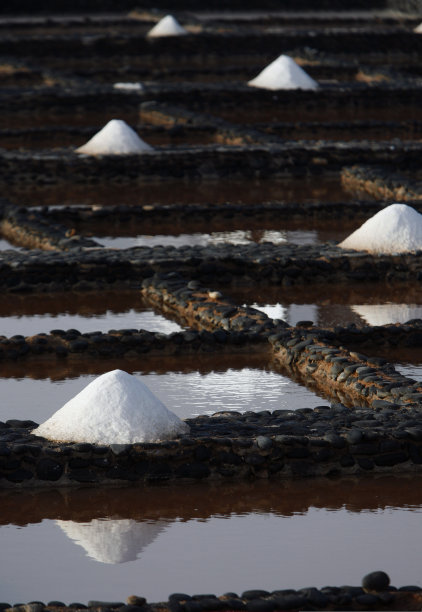 加那利群岛富尔特文图拉拉斯萨利纳斯图片下载