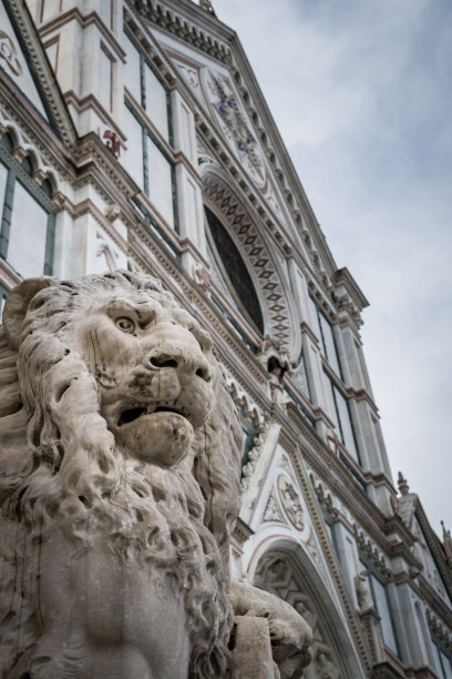 意大利佛罗伦萨圣十字大教堂的狮子雕像。图片下载