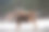 白种人的小腿图片下载