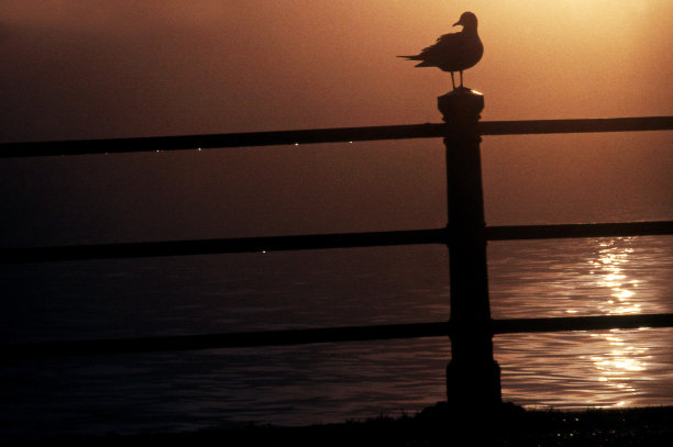 旅行照片英国-伦敦图片下载