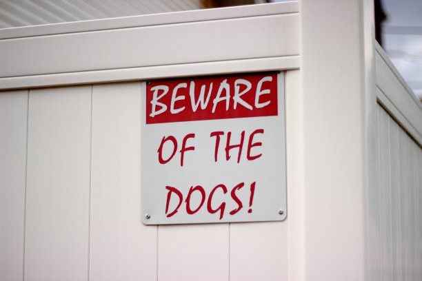 当心狗图片下载