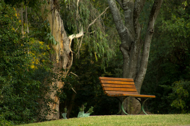 公园的长椅上图片下载