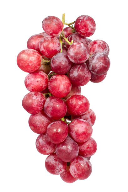 红葡萄孤立图像图片下载