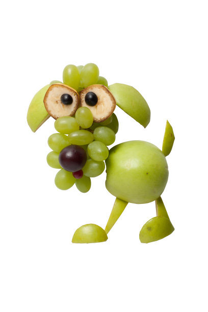 绿色水果做的有趣的狗图片下载