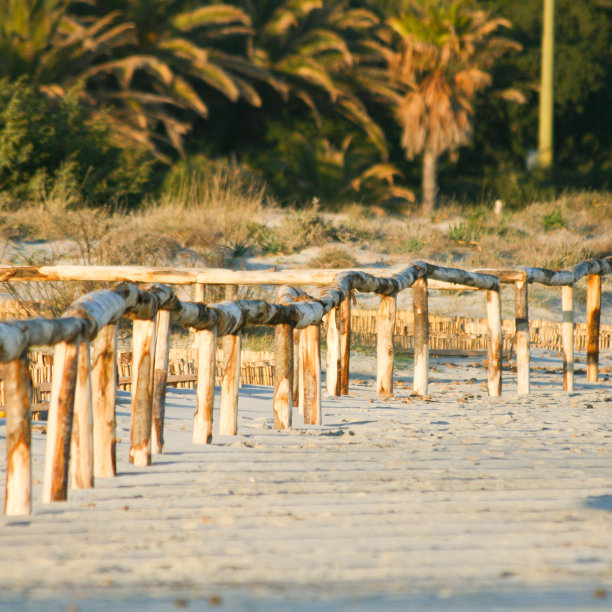 艺术日出栅栏图片下载