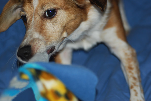 着眼于获奖图片下载