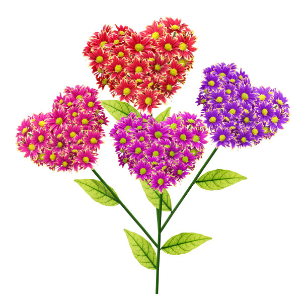 心形的图片下载