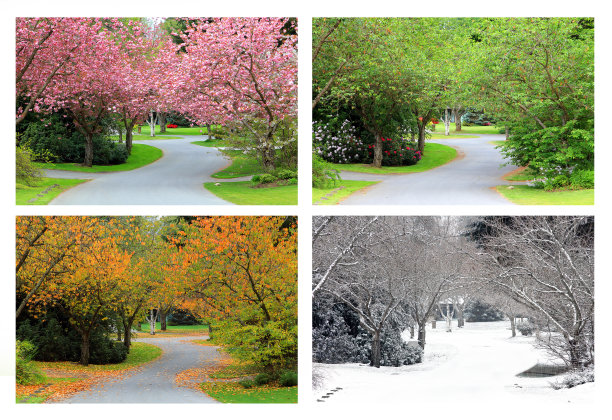 春夏秋冬图片素材ID：120656656