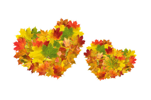 两颗心图片下载