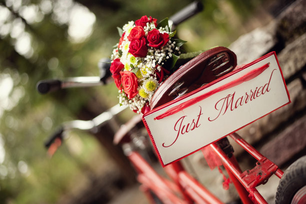 就结婚了图片下载