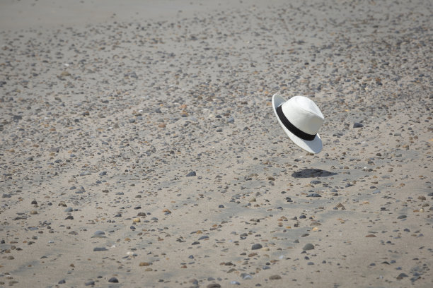 在海滩上飞翔的帽子图片下载