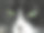 猫脸的特写镜头图片下载