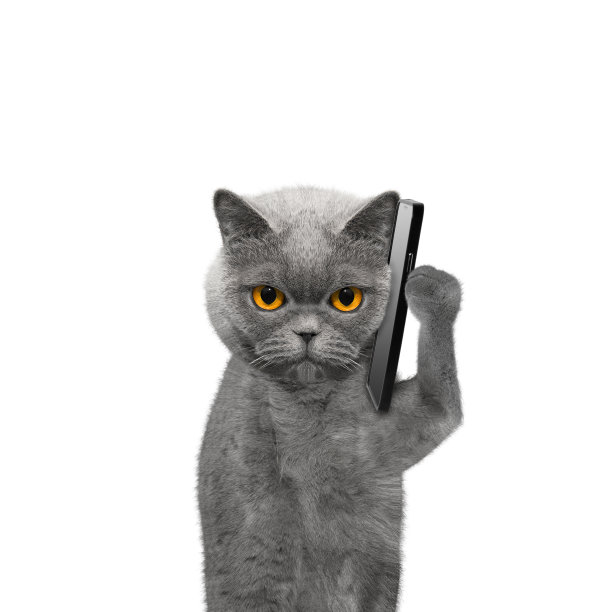 凯特正在用手机说话图片下载