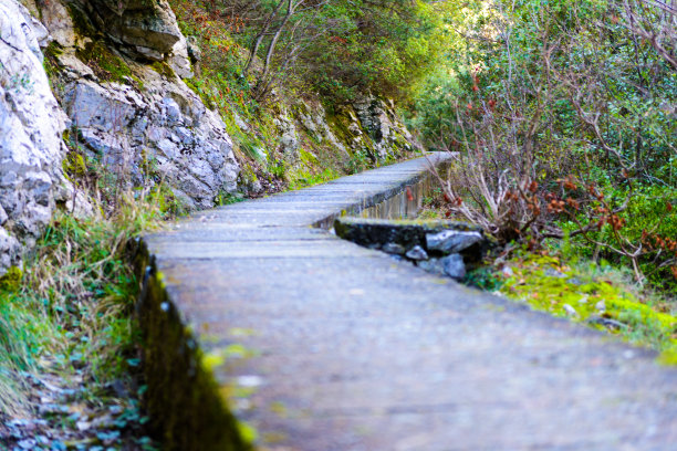 秘密的路径图片下载