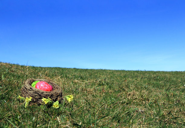 复活节的巢图片下载