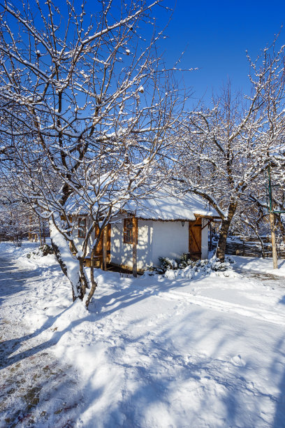 农场被雪覆盖。图片下载