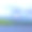 节日夏季逼真的徽章。EPS10图片下载