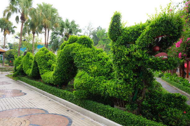 龙塑造盆景图片下载