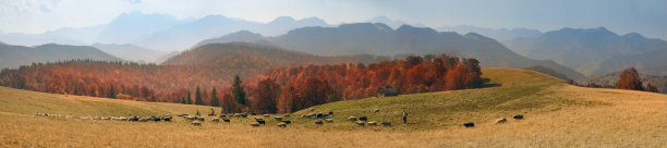 有雾的秋天图片下载