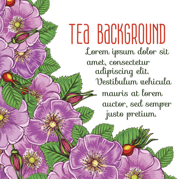 茶的背景图片下载