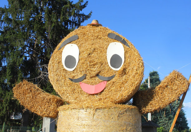 卡通稻草包图片下载