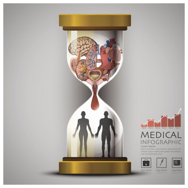 沙漏健康和医疗人体器官信息图图片下载