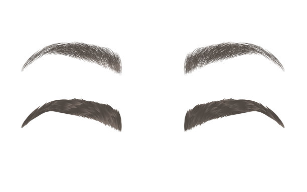 向量眉毛，现实和卡通风格图片下载