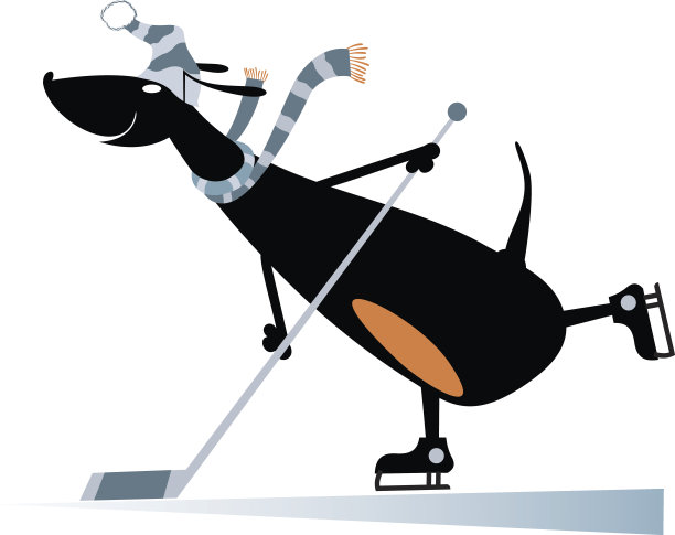 狗一个冰球运动员图片下载