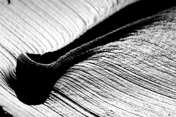 抽象的黑白黏土表面图片下载