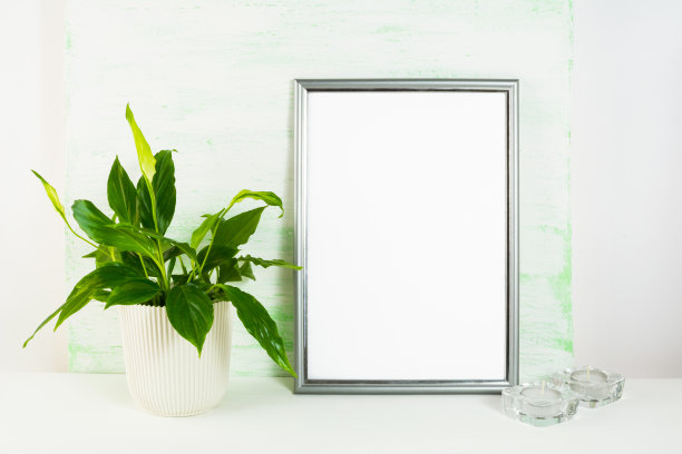 银色框架模型，花盆和蜡烛图片下载