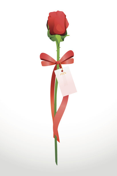 玫瑰和丝带图片下载