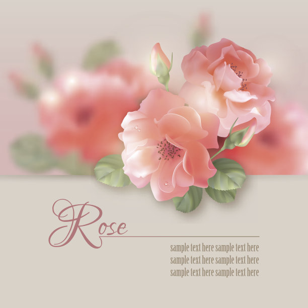 卡片与矢花玫瑰图片下载