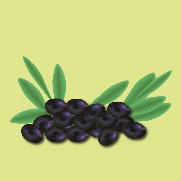 几颗带叶橄榄图片下载