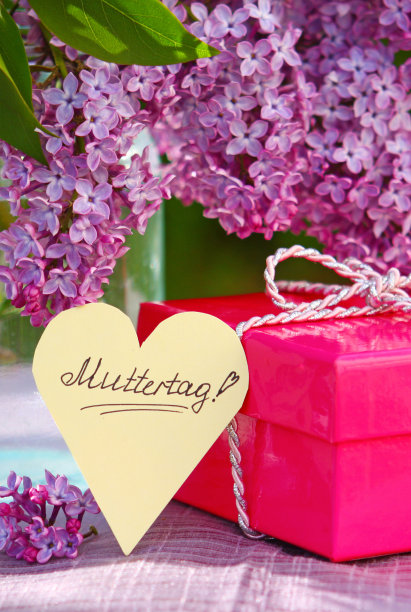 紫丁香花束和母亲节贺卡。图片下载