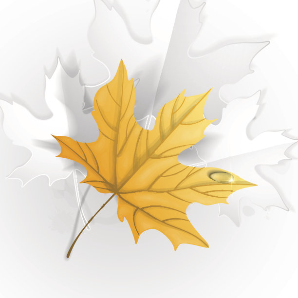 秋叶背景。图片下载