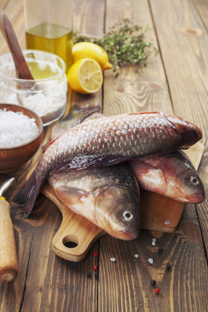 鲫鱼、鱼图片下载