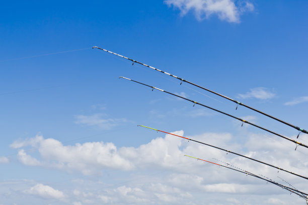 钓鱼竿图片下载