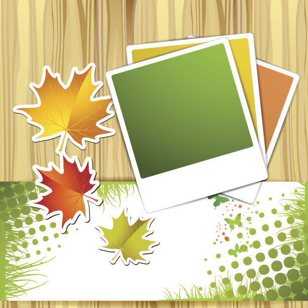 秋天五颜六色的树叶和照片图片下载