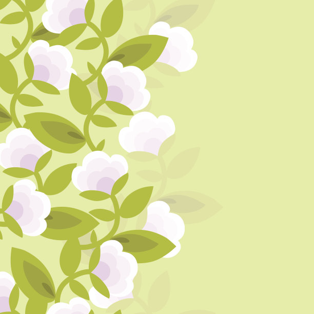花的背景。无缝的边界。春天清新的设计!图片下载