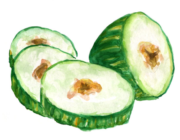 水彩甜瓜片在白色的背景图片下载