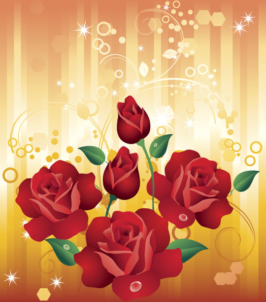 红玫瑰图片下载